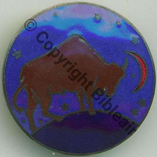 A0810 1936.43 BISON A0810NH 2eDRILLE GB.1.25 TUNISIE  AB SM Past AB.P Rennes + Poincon sur past LUNE ROUGE Src.chewi 204Eur03.16 